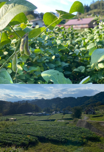 野菜と素材へのこだわり